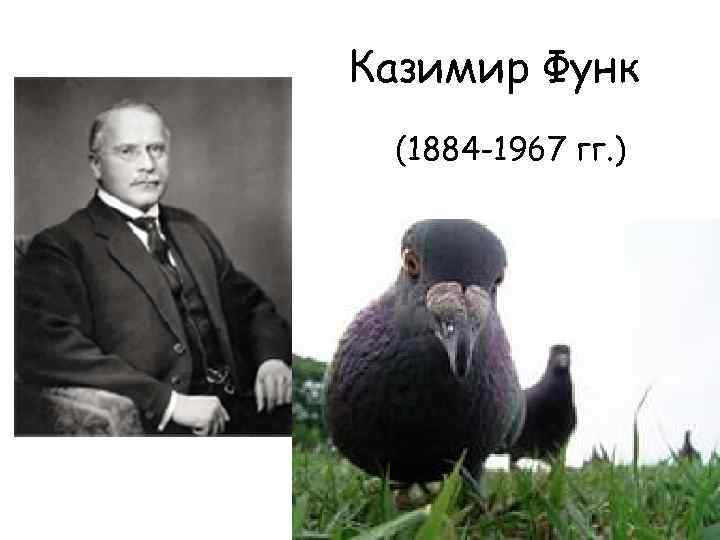 Казимир Функ (1884 -1967 гг. ) 