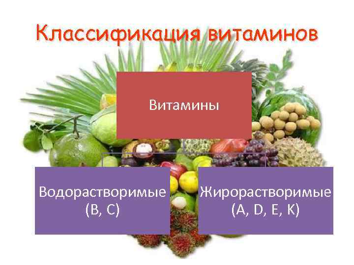 Классификация витаминов Витамины Водорастворимые (B, C) Жирорастворимые (A, D, E, K) 