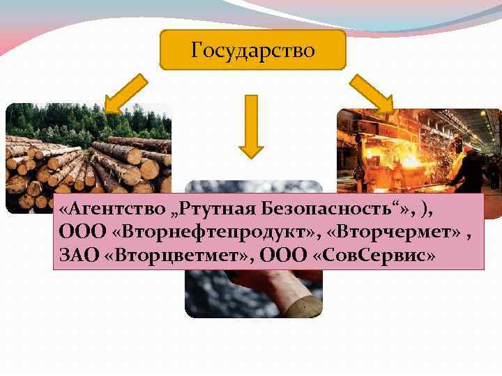 Государство «Агентство „Ртутная Безопасность“» , ), ООО «Вторнефтепродукт» , «Вторчермет» , ЗАО «Вторцветмет» ,