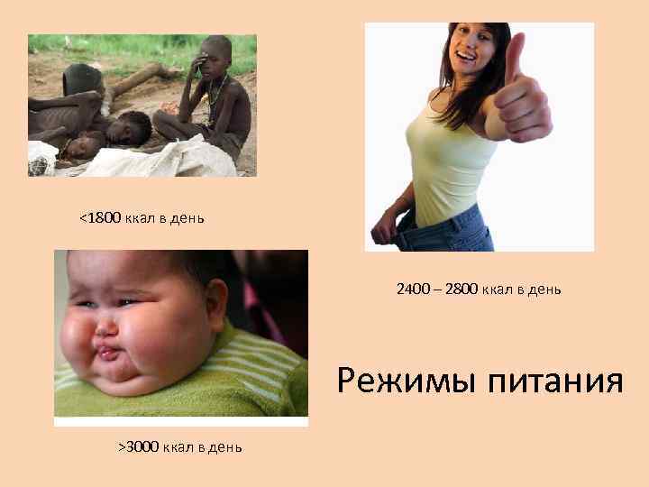 <1800 ккал в день 2400 – 2800 ккал в день Режимы питания >3000 ккал