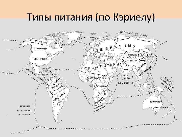 Типы питания (по Кэриелу) 
