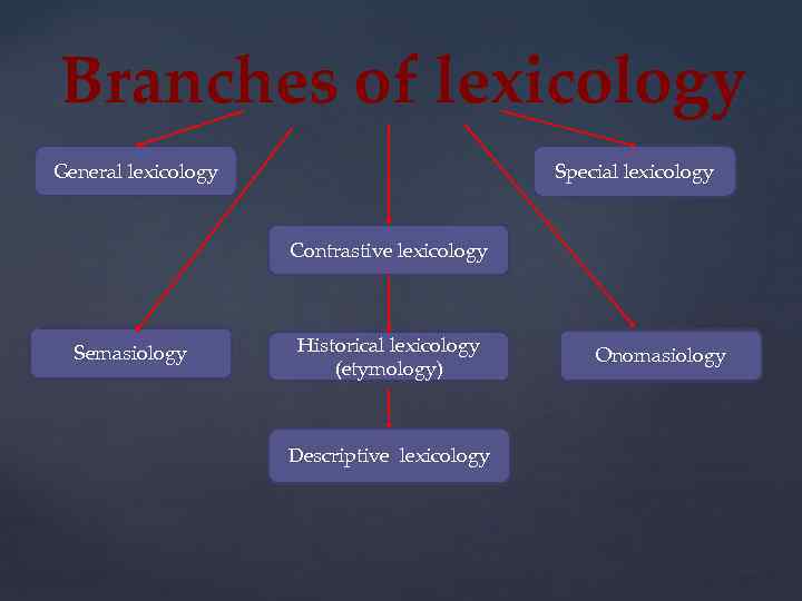 Branches of lexicology General lexicology Special lexicology Contrastive lexicology Semasiology Historical lexicology (etymology) Descriptive