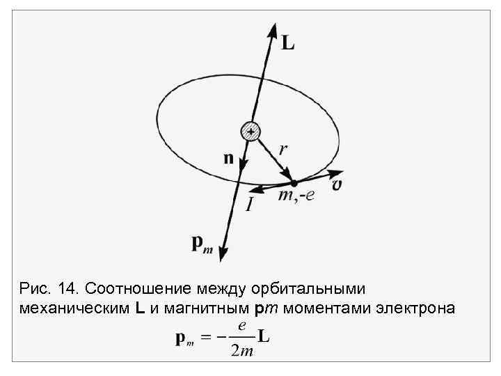 Рис. 14. Соотношение между орбитальными механическим L и магнитным pm моментами электрона 