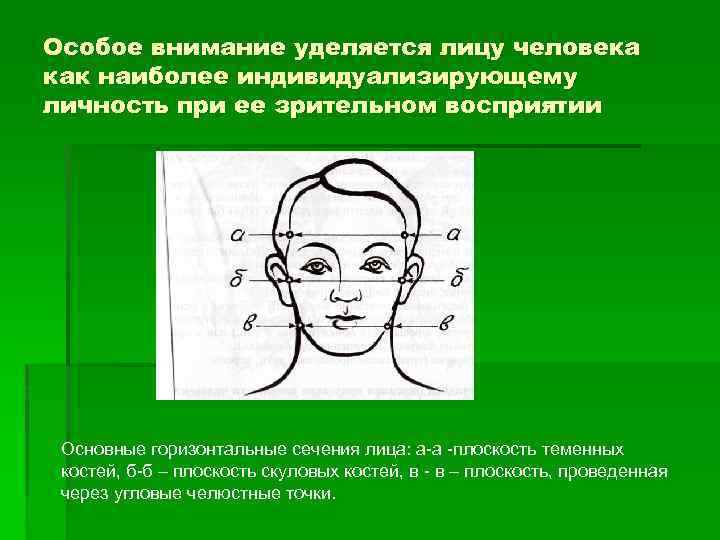 Особое внимание уделяется лицу человека как наиболее индивидуализирующему личность при ее зрительном восприятии Основные