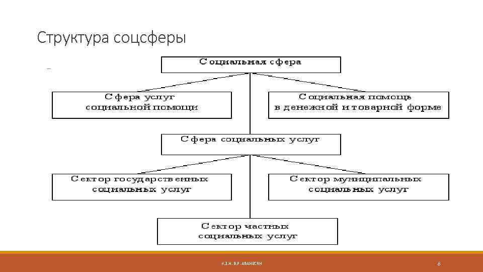 Структура социальной организации