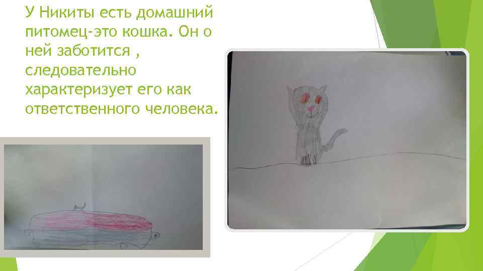 У Никиты есть домашний питомец-это кошка. Он о ней заботится , следовательно характеризует его