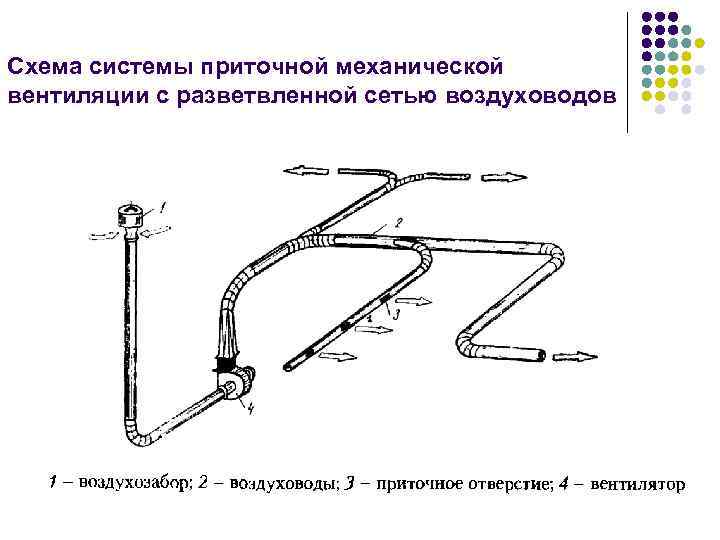 Схема системы приточной механической вентиляции с разветвленной сетью воздуховодов 