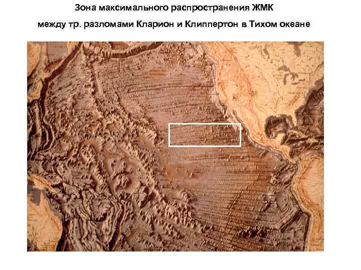 Зона максимального распространения ЖМК между тр. разломами Кларион и Клиппертон в Тихом океане 