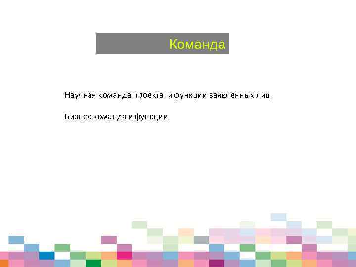 Команда Научная команда проекта и функции заявленных лиц Бизнес команда и функции 