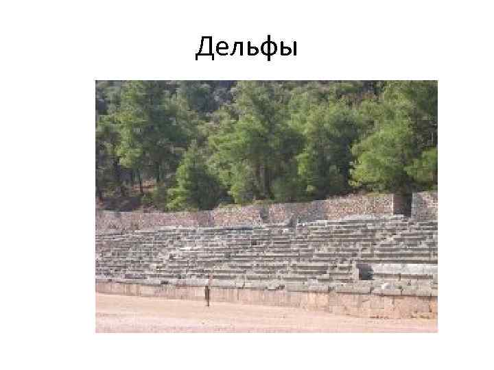 Дельфы 