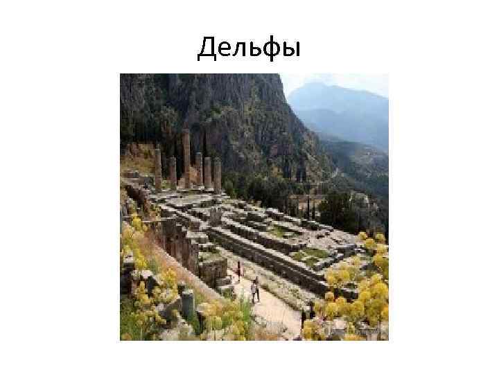 Дельфы 