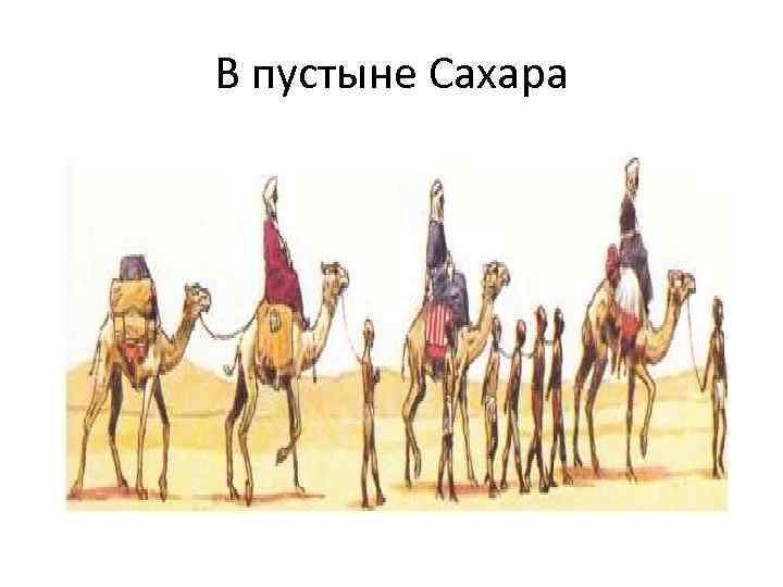 В пустыне Сахара 