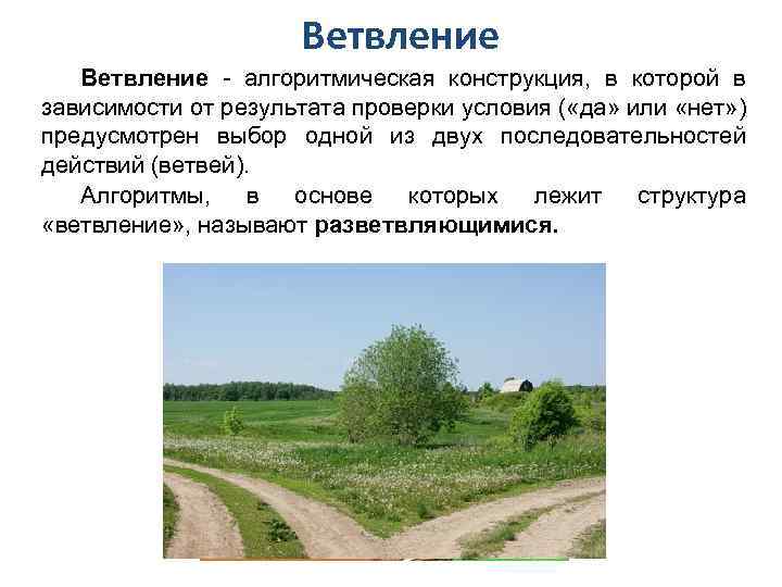 Ветвление - алгоритмическая конструкция, в которой в зависимости от результата проверки условия ( «да»