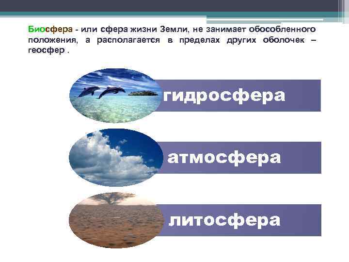 Биосфера - или сфера жизни Земли, не занимает обособленного положения, а располагается в пределах