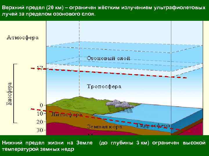 Верхний предел (20 км) – ограничен жёстким излучением ультрафиолетовых лучей за пределом озонового слоя.