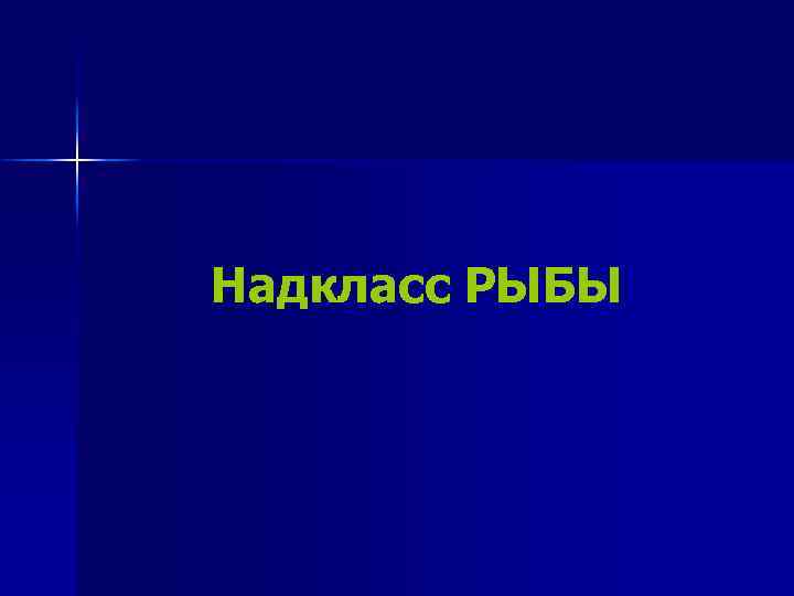 Надкласс РЫБЫ 