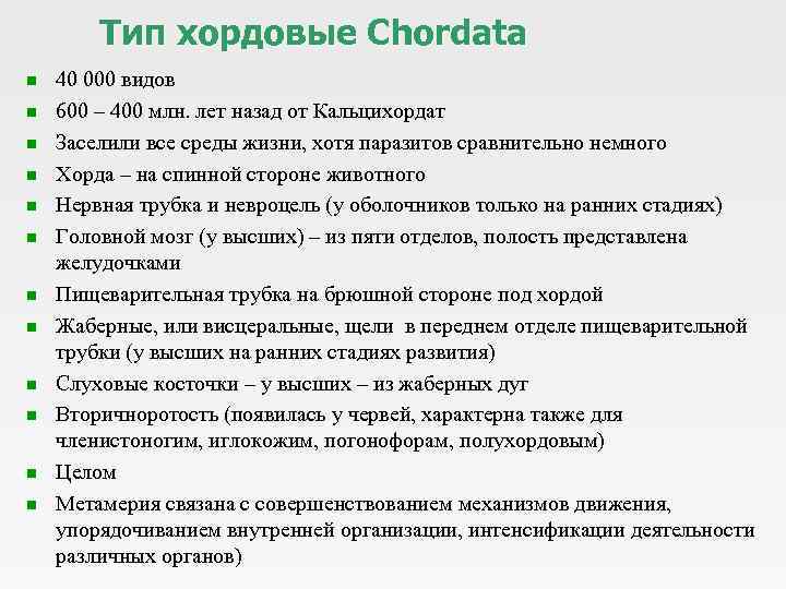 Тип хордовые Сhordata n n n 40 000 видов 600 – 400 млн. лет