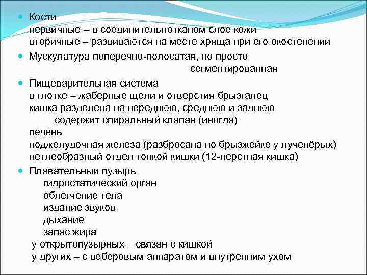  Кости первичные – в соединительнотканом слое кожи вторичные – развиваются на месте хряща