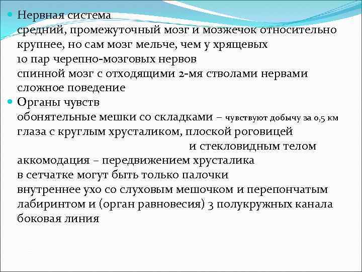  Нервная система средний, промежуточный мозг и мозжечок относительно крупнее, но сам мозг мельче,