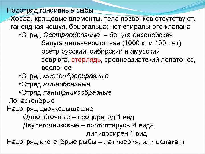Надотряд ганоидные рыбы Хорда, хрящевые элементы, тела позвонков отсутствуют, ганоидная чешуя, брызгальца; нет спирального