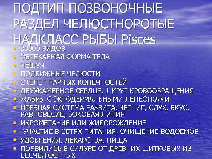 ПОДТИП ПОЗВОНОЧНЫЕ РАЗДЕЛ ЧЕЛЮСТНОРОТЫЕ НАДКЛАСС РЫБЫ Pisces • • • 20000 ВИДОВ ОБТЕКАЕМАЯ ФОРМА
