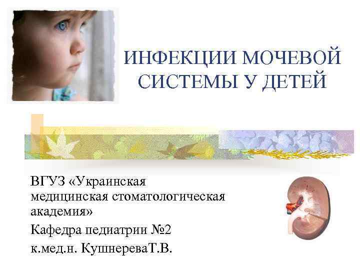 ИНФЕКЦИИ МОЧЕВОЙ СИСТЕМЫ У ДЕТЕЙ ВГУЗ «Украинская медицинская стоматологическая академия» Кафедра педиатрии № 2