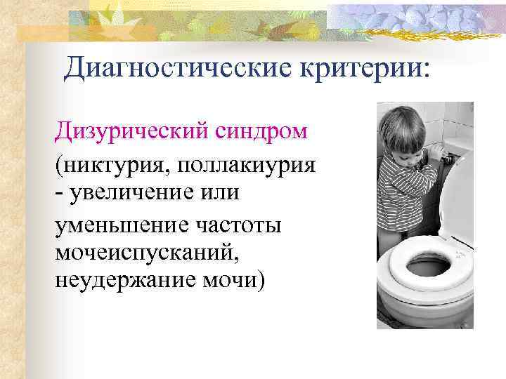Диагностические критерии: Дизурический синдром (никтурия, поллакиурия - увеличение или уменьшение частоты мочеиспусканий, неудержание мочи)