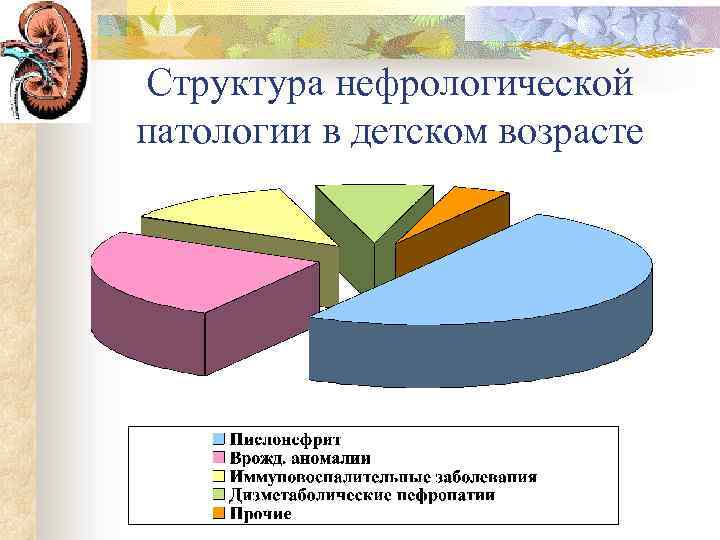 Структура нефрологической патологии в детском возрасте 