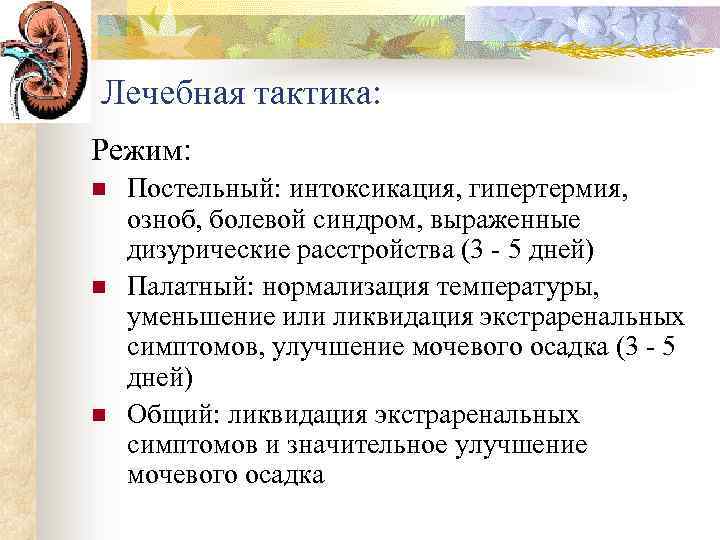 Лечебная тактика: Режим: n n n Постельный: интоксикация, гипертермия, озноб, болевой синдром, выраженные дизурические