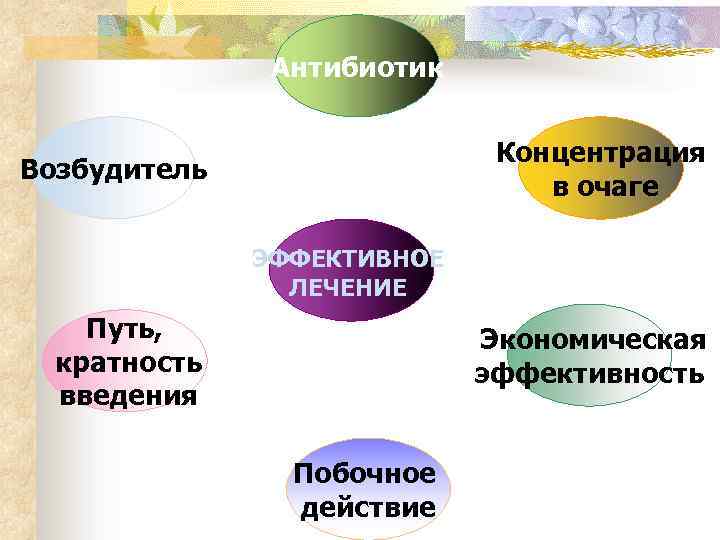 Антибиотик Концентрация в очаге Возбудитель ЭФФЕКТИВНОЕ ЛЕЧЕНИЕ Путь, кратность введения Экономическая эффективность Побочное действие