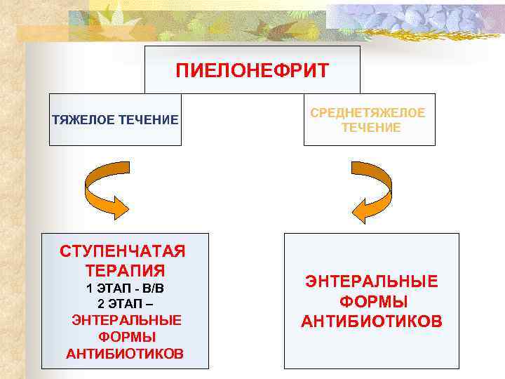 ПИЕЛОНЕФРИТ ТЯЖЕЛОЕ ТЕЧЕНИЕ СТУПЕНЧАТАЯ ТЕРАПИЯ 1 ЭТАП - В/В 2 ЭТАП – ЭНТЕРАЛЬНЫЕ ФОРМЫ