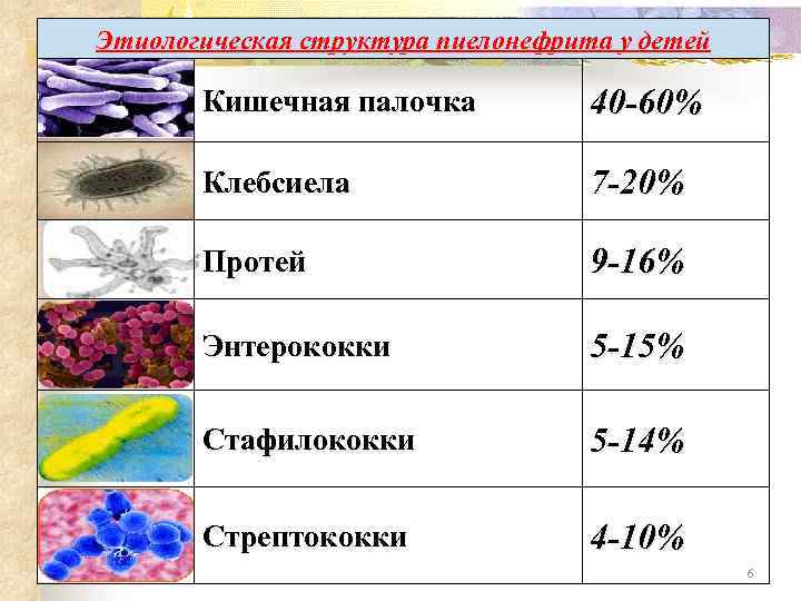 Этиологическая структура пиелонефрита у детей Кишечная палочка 40 -60% Клебсиела 7 -20% Протей 9