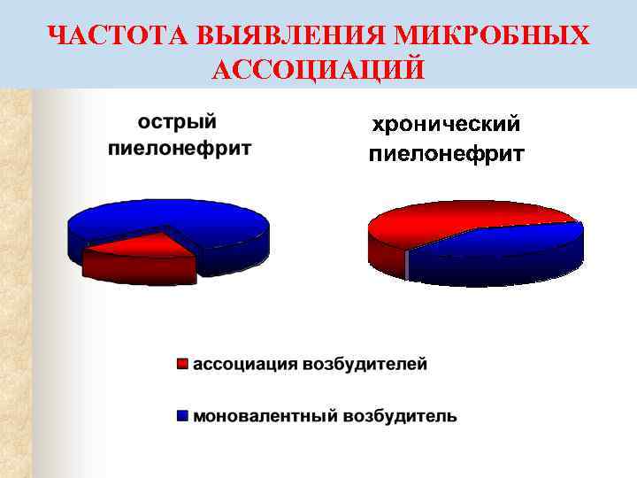 ЧАСТОТА ВЫЯВЛЕНИЯ МИКРОБНЫХ АССОЦИАЦИЙ 