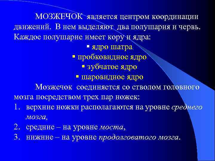 МОЗЖЕЧОК является центром координации движений. В нем выделяют два полушария и червь. Каждое полушарие