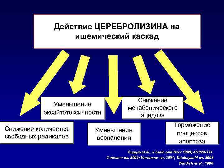 Действие ЦЕРЕБРОЛИЗИНА на ишемический каскад Уменьшение эксайтотоксичности Снижение количества свободных радикалов Снижение метаболического ацидоза