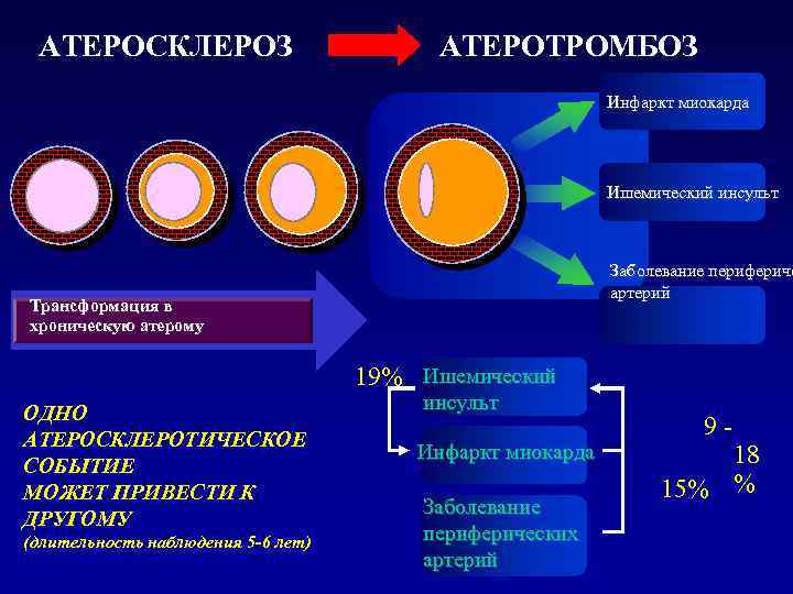 АТЕРОСКЛЕРОЗ АТЕРОТРОМБОЗ Инфаркт миокарда Ишемический инсульт Заболевание перифериче артерий Трансформация в хроническую атерому 19%