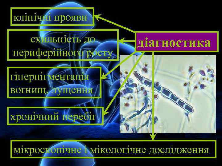 клінічні прояви схильність до периферійного росту діагностика гіперпігментація вогнищ, лущення хронічний перебіг мікроскопічне і