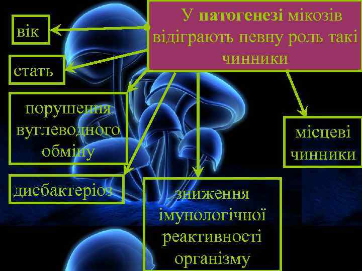 вік стать У патогенезі мікозів відіграють певну роль такі чинники порушення вуглеводного обміну дисбактеріоз