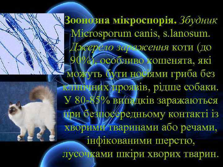 Зоонозна мікроспорія. Збудник Microsporum canis, s. lanosum. Джерело зараження коти (до 90%), особливо кошенята,