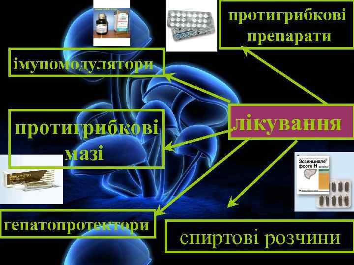 протигрибкові препарати імуномодулятори протигрибкові мазі гепатопротектори лікування спиртові розчини 
