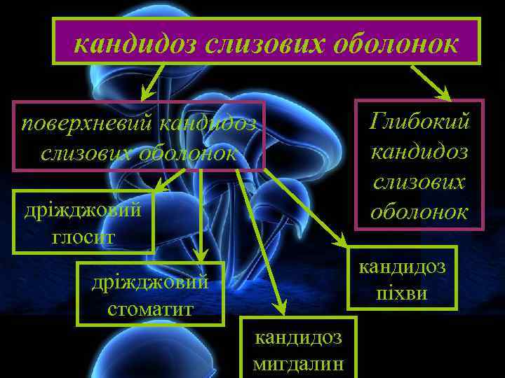 кандидоз слизових оболонок поверхневий кандидоз слизових оболонок дріжджовий глосит Глибокий кандидоз слизових оболонок кандидоз