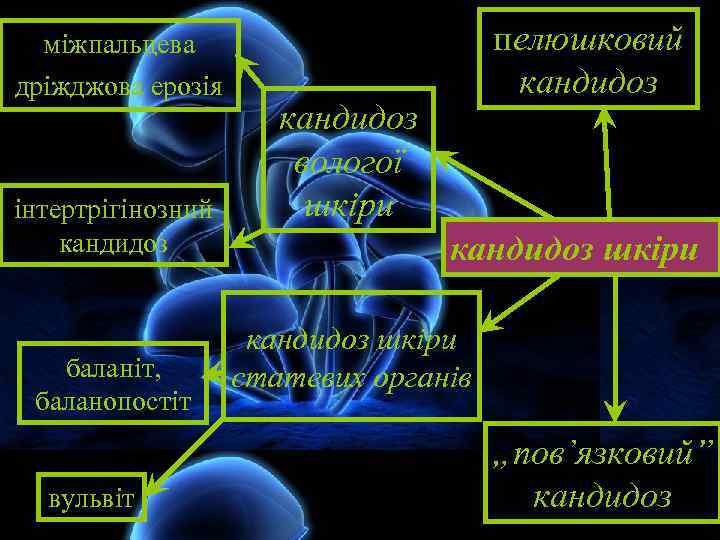 міжпальцева дріжджова ерозія інтертрігінозний кандидоз баланіт, баланопостіт вульвіт пелюшковий кандидоз вологої шкіри кандидоз шкіри