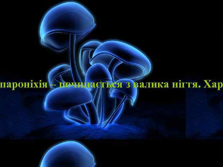 пароніхія – починається з валика нігтя. Хар 