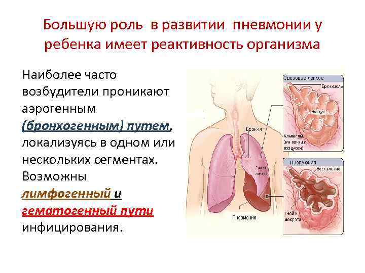 Большую роль в развитии пневмонии у ребенка имеет реактивность организма Наиболее часто возбудители проникают