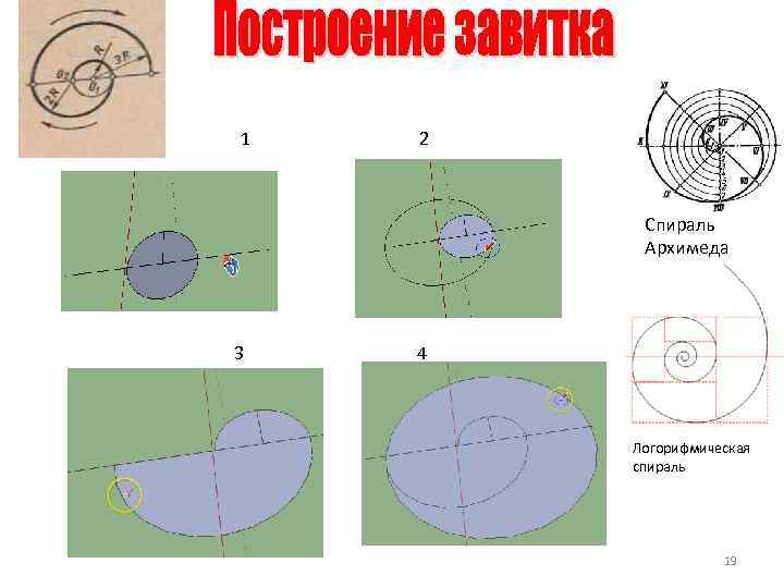 1 2 Спираль Архимеда 3 4 Логорифмическая спираль 19 