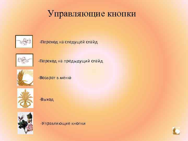 Управляющие кнопки -Переход на следущей слайд -Переход на предыдущий слайд -Возврат в меню -Выход
