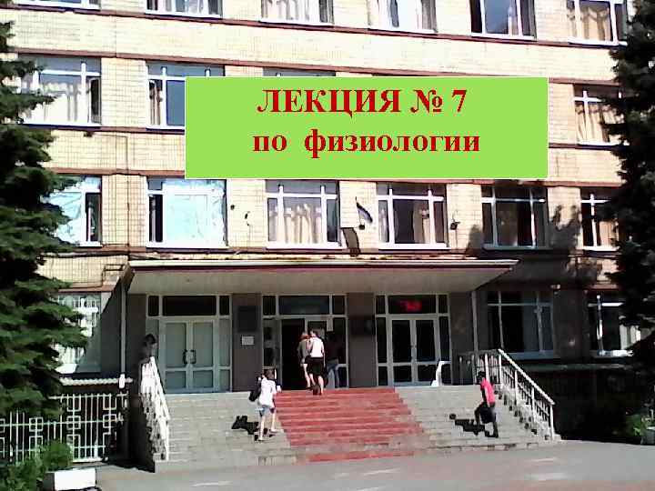 ЛЕКЦИЯ № 7 по физиологии 