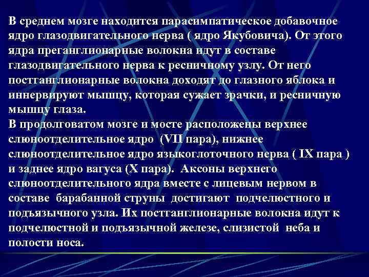 В среднем мозге находится парасимпатическое добавочное ядро глазодвигательного нерва ( ядро Якубовича). От этого