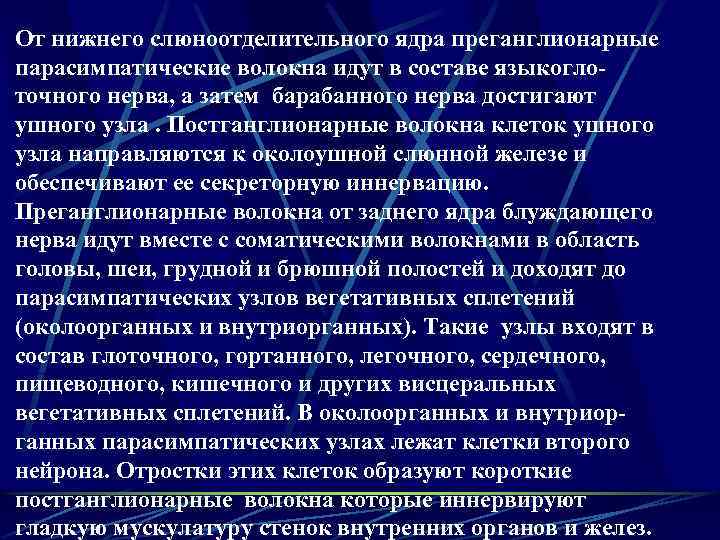 От нижнего слюноотделительного ядра преганглионарные парасимпатические волокна идут в составе языкоглоточного нерва, а затем