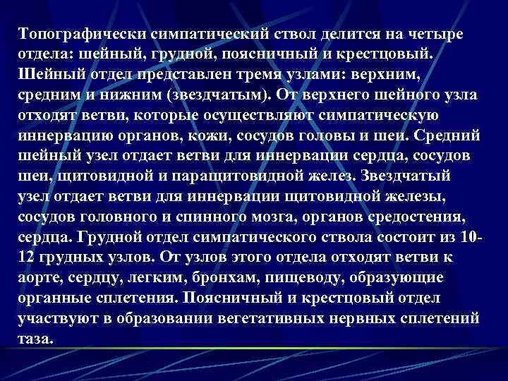 Топографически симпатический ствол делится на четыре отдела: шейный, грудной, поясничный и крестцовый. Шейный отдел